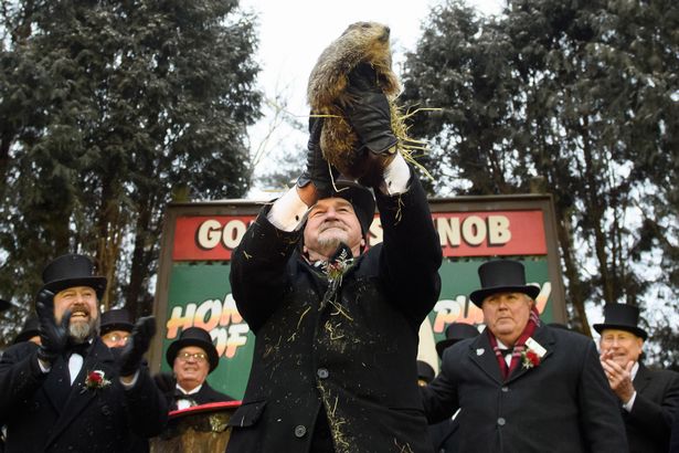 El Día de la Marmota es una tradición popular en los Estados Unidos y Canadá.