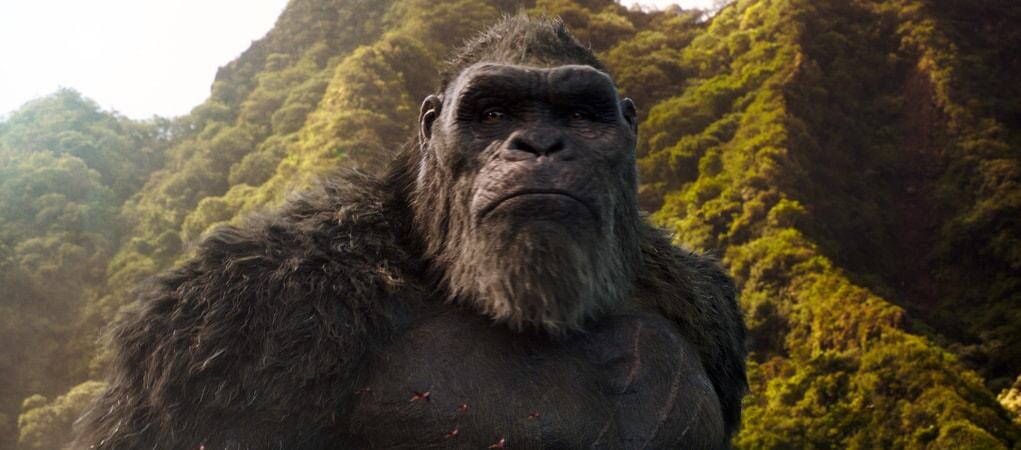 Godzilla Vs Kong asciende a 358 millones de dólares;  Mortal Kombat se inclina con $ 11 millones en el extranjero - Fecha límite