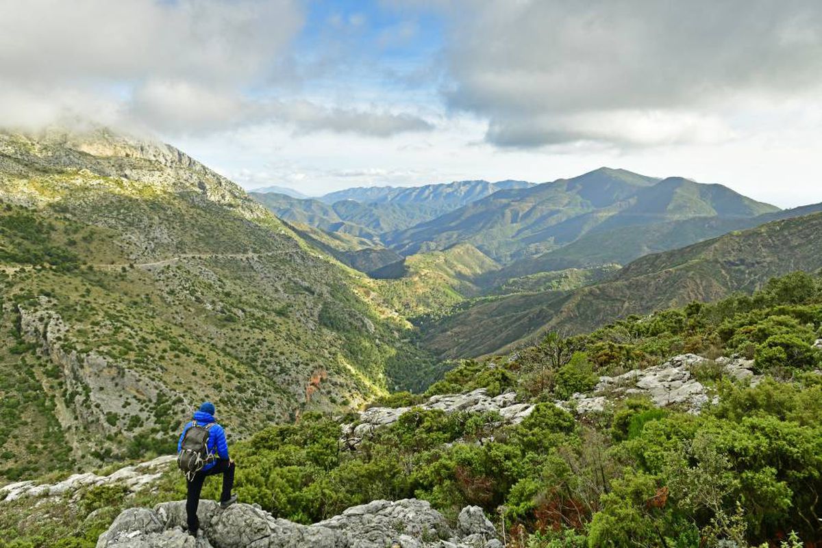 Sierra de las Nieves: Un nuevo parque nacional en el sur de España trae nuevas esperanzas a las economías locales |  España
