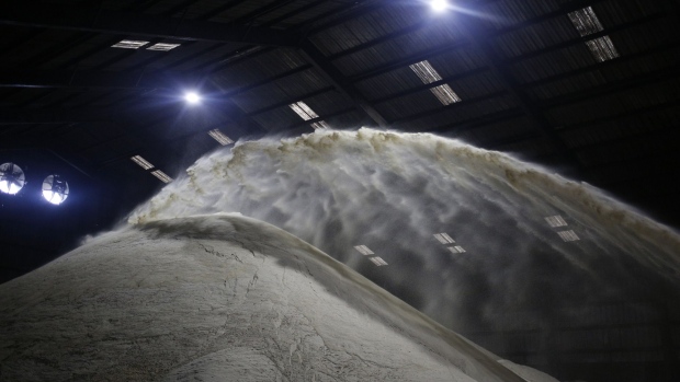 El gigante azucarero de Dubai avanza para construir una planta de remolacha en España
