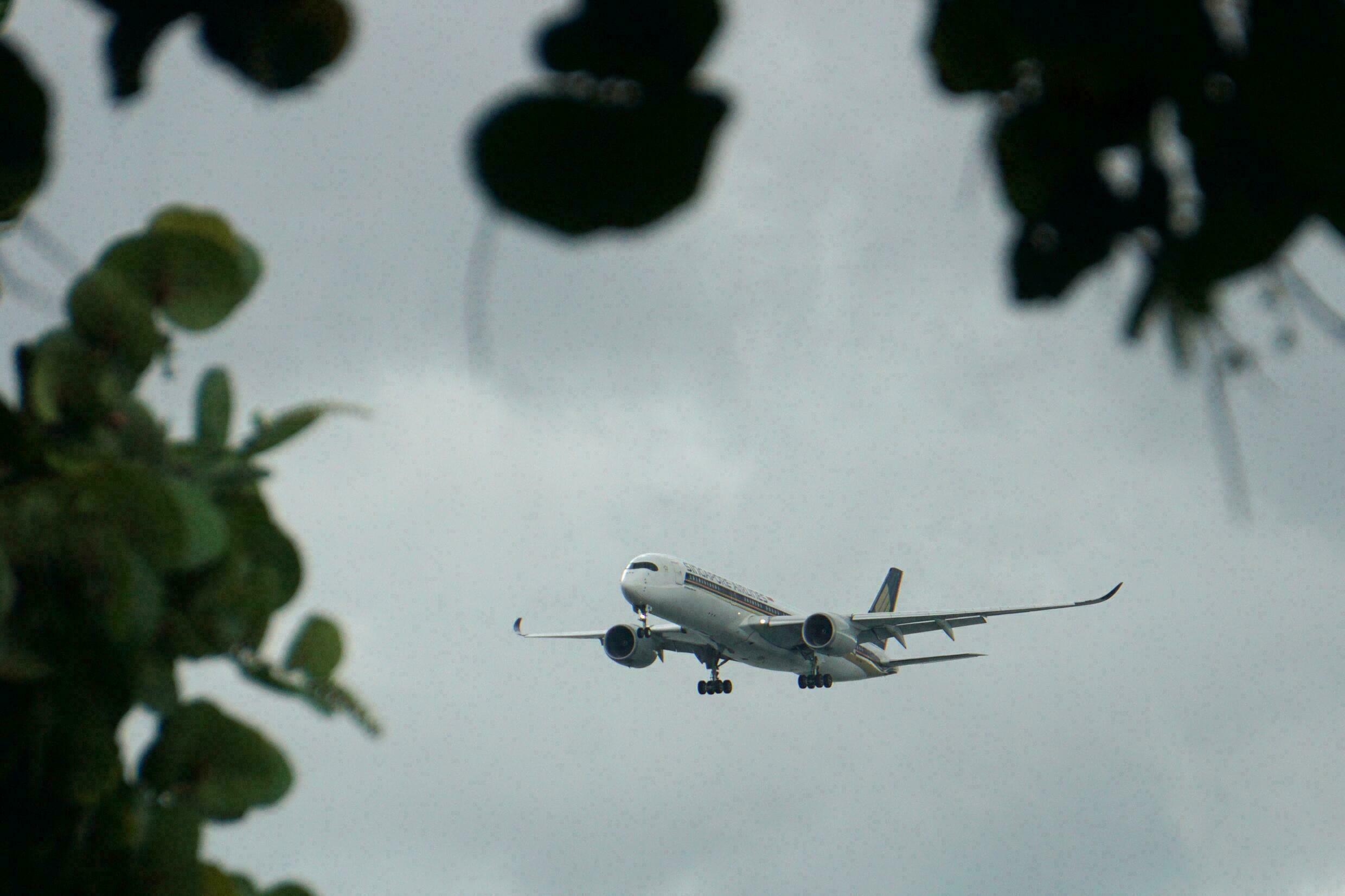 Singapore Airlines dijo que había una fuerte demanda de sus vuelos bajo el programa Fortified Travel Corridors.