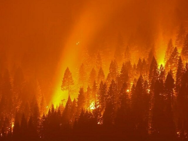 España combate los incendios forestales mientras sufre ola de calor - el mundo