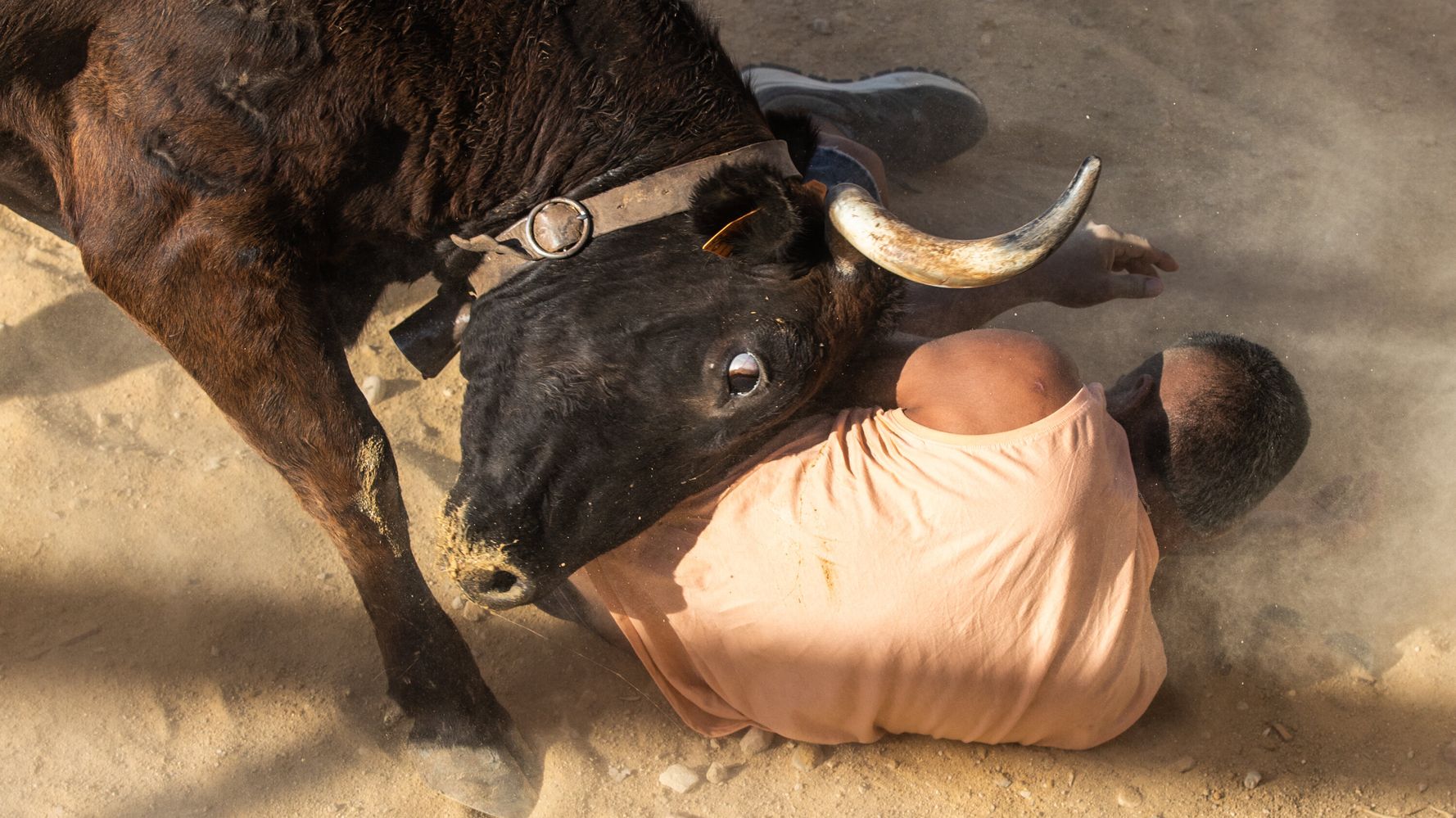 3 deformidades en toros españoles mueren en 24 horas