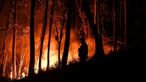 Portugal lucha contra los incendios forestales en medio de la sequía y el calor