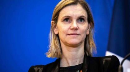 France Considers Increasing Gas, Electricity Exchange with Germany, Spain - Minister